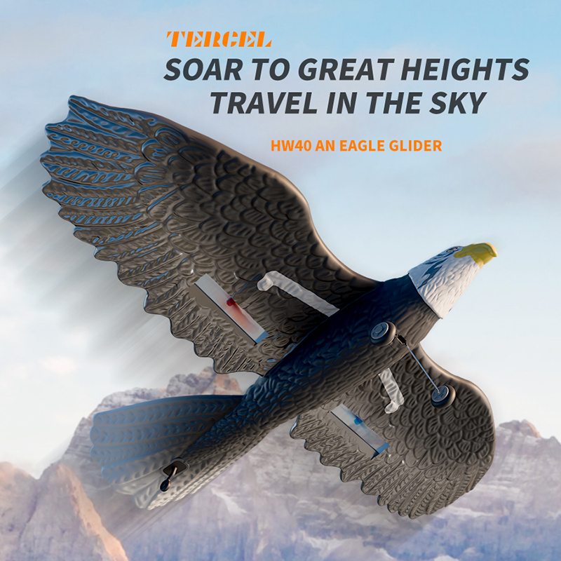 Kids Outdoor Toy Storage - RC Plane 2.4G 420MM Wingspan Eagle