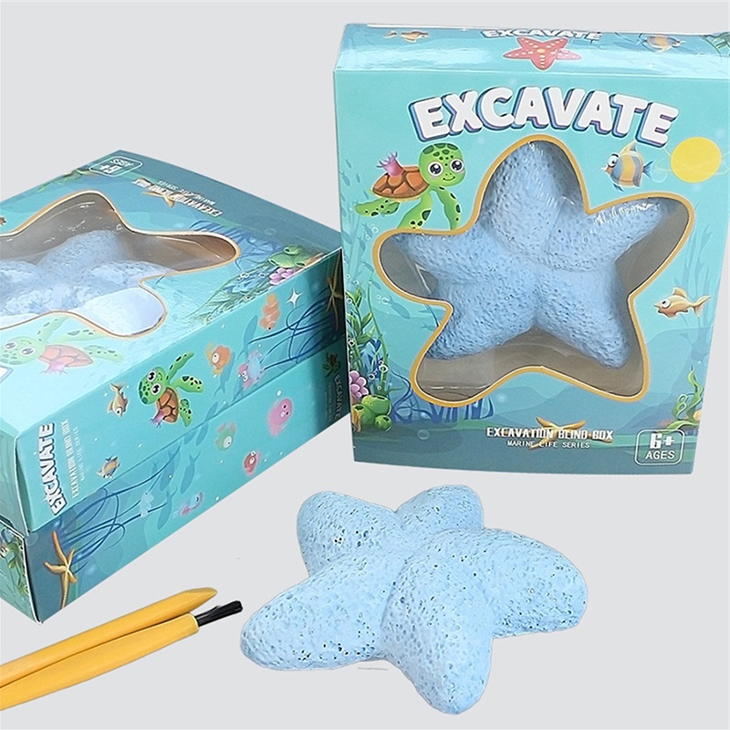 Starfish Marine Life Gemstone  - Kids Outdoor Digger 评论和价格